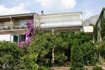 Property - Apartments 6646 Property Podgora (Makarska) - Accommodation 6646 - Apartments with pebble beach.