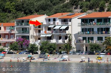 Property - Apartments 6713 Property Podgora (Makarska) - Accommodation 6713 - Apartments near sea with pebble beach.