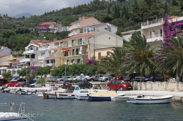 Property - Apartments 6726 Property Podgora (Makarska) - Accommodation 6726 - Apartments near sea with pebble beach.