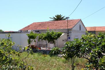 Property - Apartments 6733 Property Sućuraj (Hvar) - Accommodation 6733 - Apartments near sea with pebble beach.