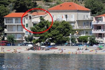 Property - Apartments 6781 Property Podgora (Makarska) - Accommodation 6781 - Apartments near sea with pebble beach.
