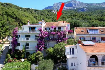 Property - Apartments and Rooms 6790 Property Podgora (Makarska) - Accommodation 6790 - Apartments and Rooms with pebble beach.