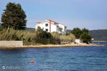 Property - Apartments 686 Property Tkon (Pašman) - Accommodation 686 - Apartments near sea.