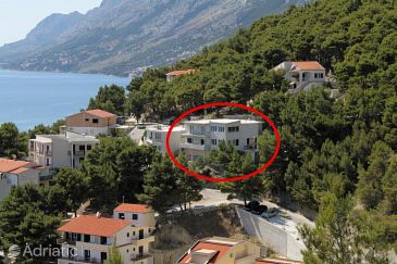 Property - Apartments and Rooms 6895 Property Brela (Makarska) - Accommodation 6895 - Apartments and Rooms with pebble beach.