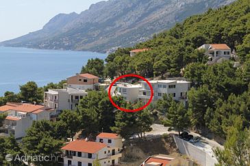 Property - Apartments 6907 Property Brela (Makarska) - Accommodation 6907 - Apartments with pebble beach.