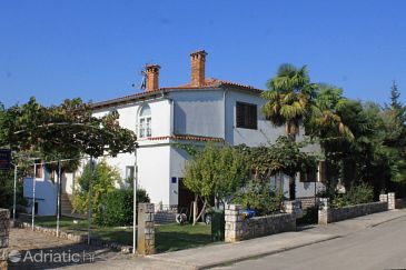 Property - Apartments 7152 Property Rovinj (Rovinj) - Accommodation 7152 - Apartments with pebble beach.