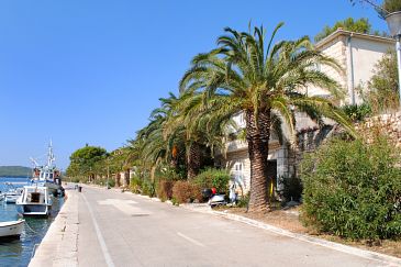 Property - Apartments 733 Property Milna (Brač) - Accommodation 733 - Apartments near sea.