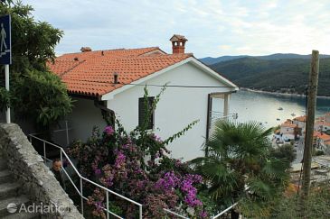 Property - Apartments 7474 Property Rabac (Labin) - Accommodation 7474 - Apartments with pebble beach.