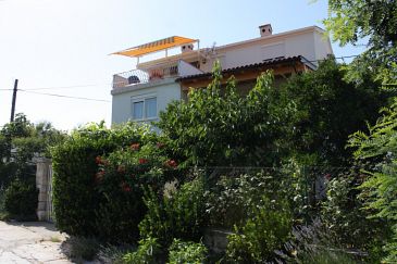 Property - Apartments and Rooms 8100 Property Božava (Dugi otok) - Accommodation 8100 - Apartments and Rooms in Croatia.