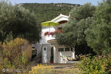 Property - Apartments 8131 Property Luka (Dugi otok) - Accommodation 8131 - Apartments near sea.