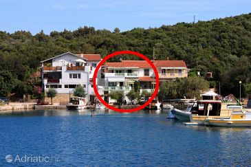 Property - Apartments and Rooms 8170 Property Zaglav (Dugi otok) - Accommodation 8170 - Apartments and Rooms near sea.