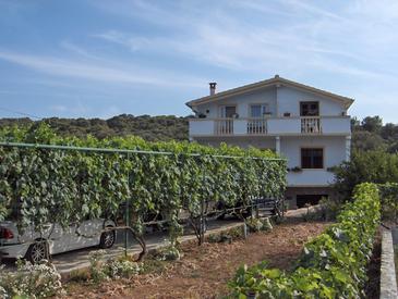 Property - Apartments 819 Property Kraj (Pašman) - Accommodation 819 - Apartments near sea with sandy beach.
