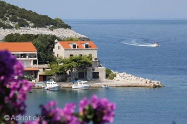 Property - Apartments 8340 Property Zaklopatica (Lastovo) - Accommodation 8340 - Apartments near sea.