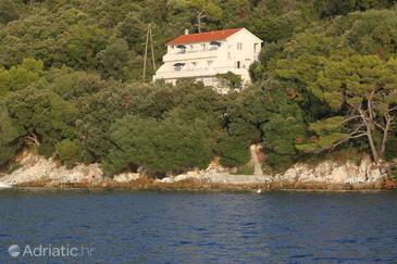 Property - Apartments 8355 Property Ubli (Lastovo) - Accommodation 8355 - Apartments near sea.