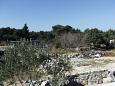 Shared terrace - view Shared terrace - view - Apartment A-851-f - Apartments Drage (Biograd) - 851
