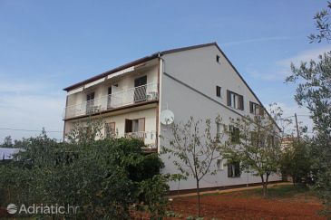 Property - Apartments 8520 Property Muline (Ugljan) - Accommodation 8520 - Apartments near sea with pebble beach.