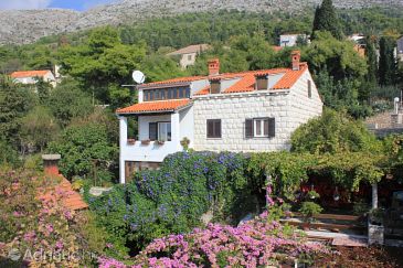 Property - Apartments and Rooms 8581 Property Dubrovnik (Dubrovnik) - Accommodation 8581 - Apartments and Rooms with pebble beach.