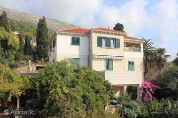 Property - Apartments 8582 Property Dubrovnik (Dubrovnik) - Accommodation 8582 - Apartments with pebble beach.