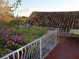 Shared terrace Shared terrace - Studio flat AS-8594-a - Apartments Trsteno (Dubrovnik) - 8594