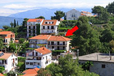 Property - Apartments 8721 Property Jelsa (Hvar) - Accommodation 8721 - Apartments near sea with pebble beach.
