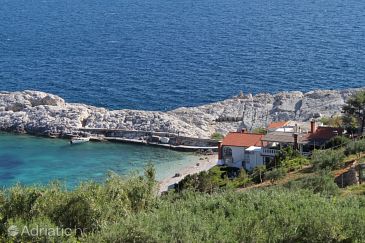Property - Apartments and Rooms 8781 Property Uvala Zaraće (Dubovica) (Hvar) - Accommodation 8781 - Apartments and Rooms near sea with pebble beach.