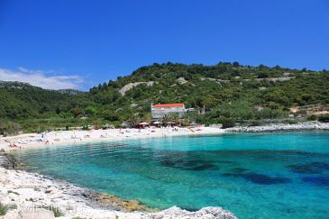 Property - Apartments and Rooms 8785 Property Hvar (Hvar) - Accommodation 8785 - Apartments and Rooms near sea with pebble beach.