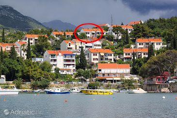 Property - Apartments 8831 Property Cavtat (Dubrovnik) - Accommodation 8831 - Apartments with pebble beach.