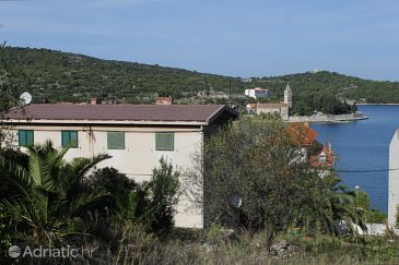 Property - Apartments 8858 Property Vis (Vis) - Accommodation 8858 - Apartments near sea with pebble beach.