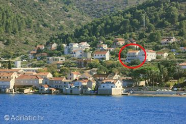 Property - Apartments 8890 Property Vis (Vis) - Accommodation 8890 - Apartments with pebble beach.