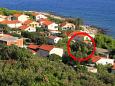 Apartments Milna (Vis) - 8943