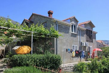 Property - Apartments and Rooms 8959 Property Srebreno (Dubrovnik) - Accommodation 8959 - Apartments and Rooms with pebble beach.