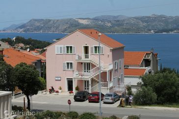 Property - Apartments 8965 Property Cavtat (Dubrovnik) - Accommodation 8965 - Apartments in Croatia.