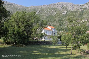 Property - Apartments 8970 Property Mlini (Dubrovnik) - Accommodation 8970 - Apartments with pebble beach.