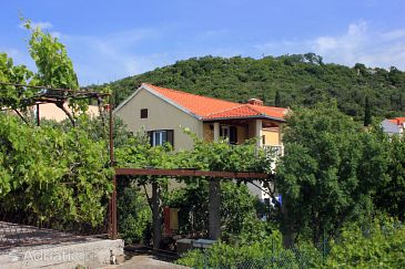 Property - Apartments 8976 Property Zaton Veliki (Dubrovnik) - Accommodation 8976 - Apartments with pebble beach.