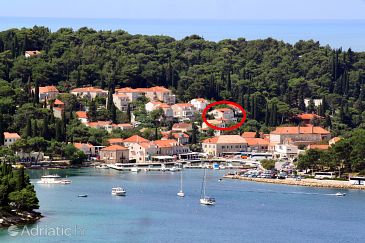 Property - Apartments and Rooms 9090 Property Cavtat (Dubrovnik) - Accommodation 9090 - Apartments and Rooms near sea.