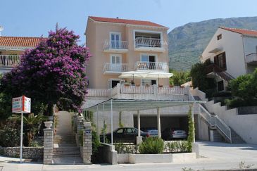 Property - Apartments 9105 Property Mlini (Dubrovnik) - Accommodation 9105 - Apartments with pebble beach.