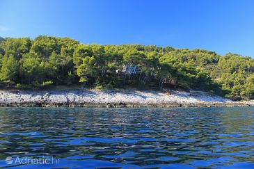 Property - Vacation Rentals 9142 Property Uvala Spiliška (Korčula) - Accommodation 9142 - Vacation Rentals near sea.