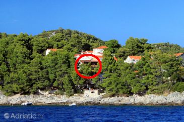 Property - Apartments 9221 Property Brna (Korčula) - Accommodation 9221 - Apartments near sea.