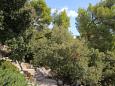 Shared terrace - view Shared terrace - view - Apartment A-9228-b - Apartments Gršćica (Korčula) - 9228