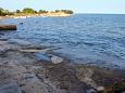 Nearest beach Nearest beach - Apartments Dajla (Novigrad) - 2550