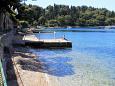 Nearest beach Nearest beach - Apartments Cavtat (Dubrovnik) - 8993