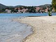 Nearest beach Nearest beach - Apartments Slano (Dubrovnik) - 3184