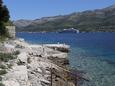 Nearest beach Nearest beach - Apartments Korčula (Korčula) - 4381