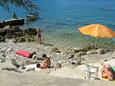 Nearest beach Nearest beach - Apartments Prižba (Korčula) - 4484
