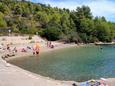 Nearest beach Nearest beach - Apartments Vela Luka (Korčula) - 160