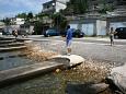 Nearest beach Nearest beach - Apartments Jadranovo (Crikvenica) - 5286