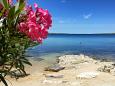 Nearest beach Nearest beach - Apartments Košljun (Pag) - 3321