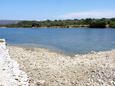 Nearest beach Nearest beach - Apartments Veli Rat (Dugi otok) - 436