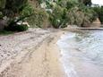 Nearest beach Nearest beach - Apartments Posedarje (Novigrad) - 6190