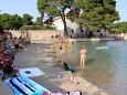 Nearest beach Nearest beach - Apartments Ugljan (Ugljan) - 8508